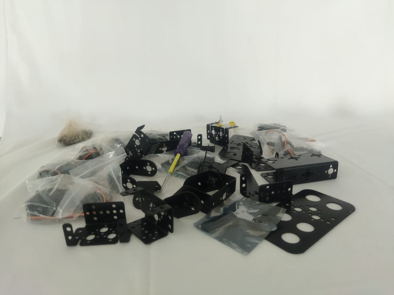 Humanoid Robot